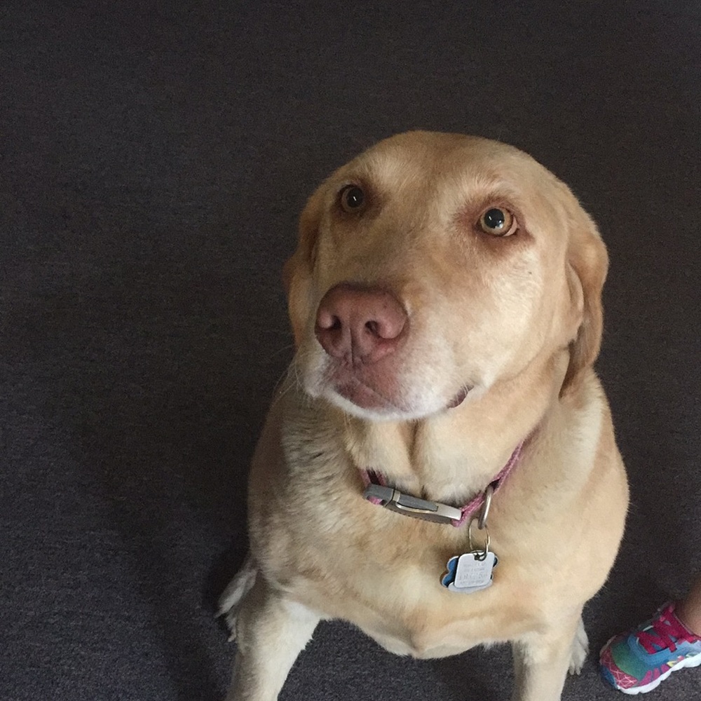 Meet your Posher, Phyllis